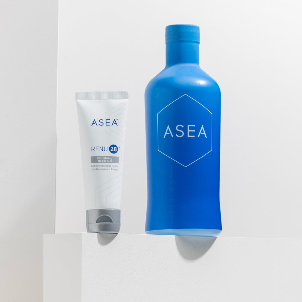 Essentials Subscription Bundle